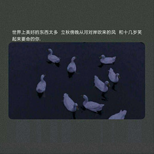 毛多女毛茸茸的撒尿
